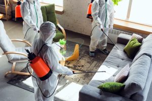 mold remediation orange county mold fighter